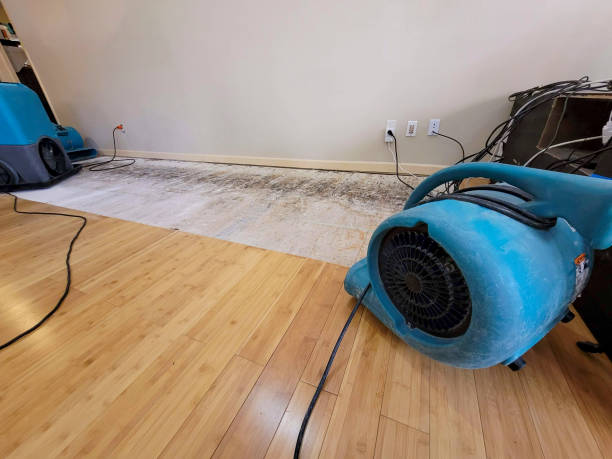 Reliable Crawl Space Water Removal contractor in Davis, NC by Hirex Water Damage