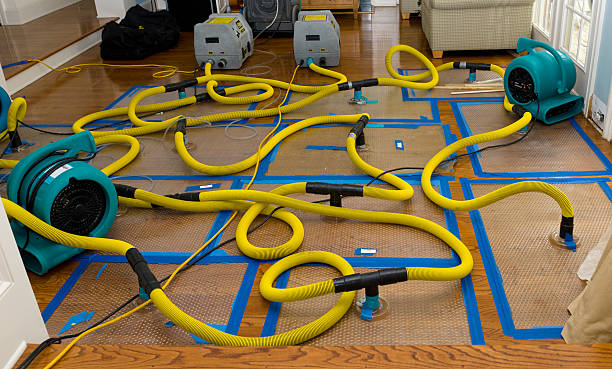 Professional Crawl Space Water Removal technician working in Davis, NC